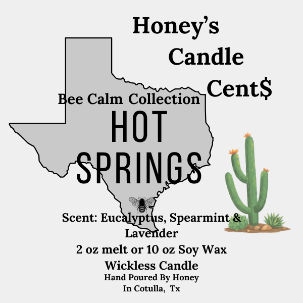 Hot Springs - Eucalyptus, Spearmint & Rain Water Wickless Candle